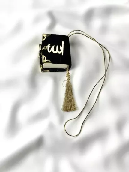 AnyConv.com IMG 4249