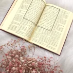 samtkoran arabisch-türkisch