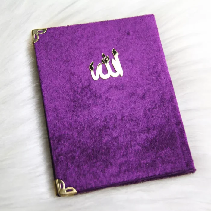 Surenbuch lila